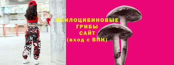 а пвп мука Верея