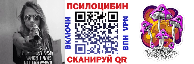 мега Верхняя Пышма Псилоцибиновые грибы прущие грибы как найти